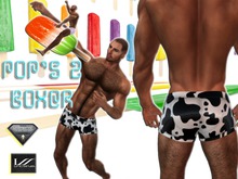 POP'S Vache Boxer by WhatEver