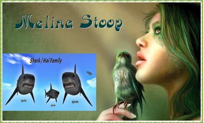 Shark / Hai  Family ( MP )