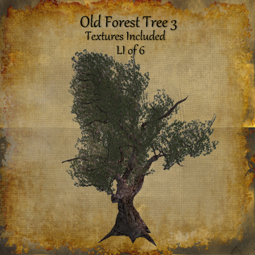 Bad Katz Old Forest Tree 3b