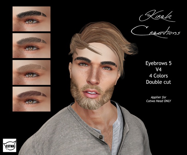 Male Eyebrows 5 V4