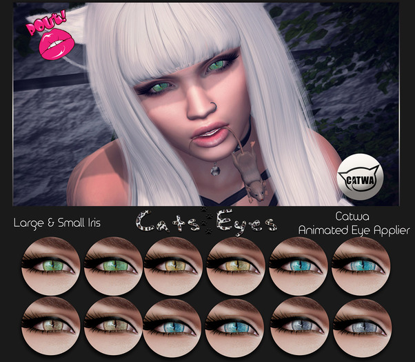 [POUT!] Cat eye Collection- Catwa eye applier 