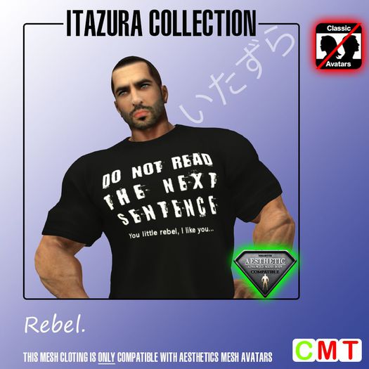 -GS- Funshirt #011 (boxed) (BOXED)