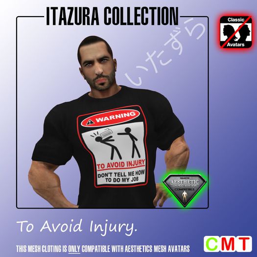 -GS- Funshirt #024 (BOXED)