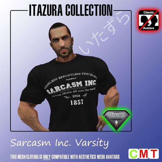 -GS- Funshirt #027 - Sarcasm Inc. Varsity