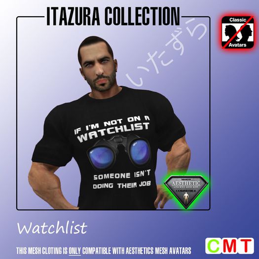 -GS- Funshirt #028 (BOXED)