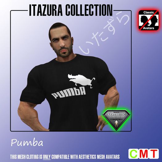 -GS- Funshirt #034 (BOXED)