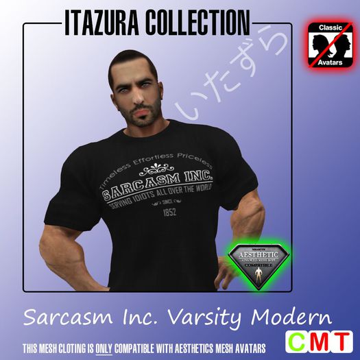 -GS- Funshirt #038 (BOXED)