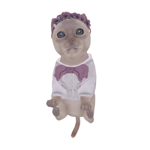Flowers Kitty RARE wear (hold in arm)