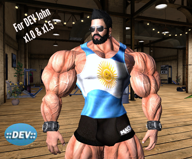 [D.Cavalieri] - John Argentina Flag Tank