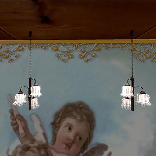 {anc}/ friedwildberry. 17''droplamp/hanging'' ray