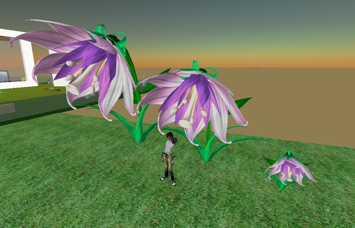 Serenity Flower - Resizeable