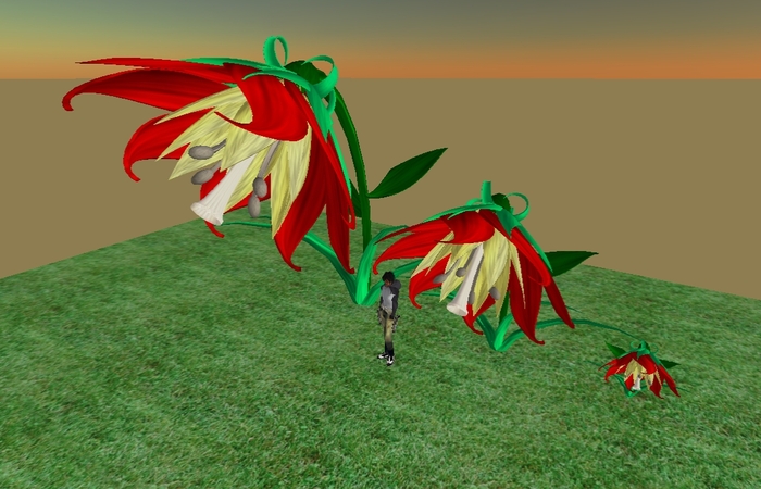 Scarlet Flower - Resizeable