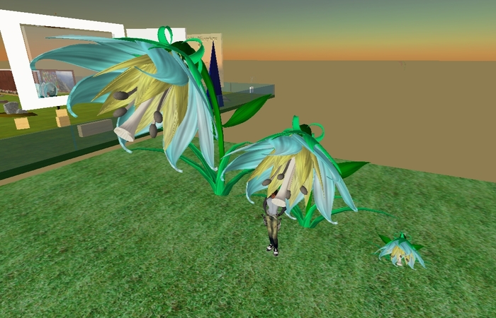Trinity Flower - Resizeable