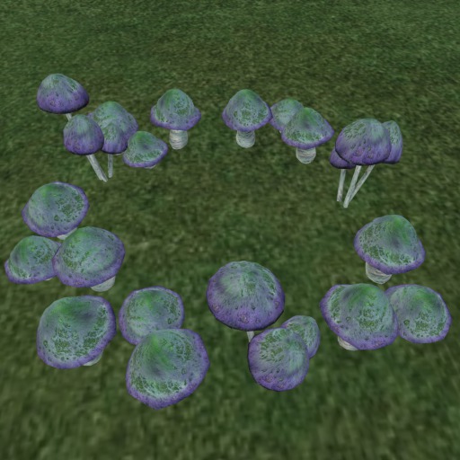 {Papillon} [Boxed] Fairy Ring (A)