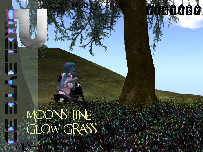 Moonshine Grass