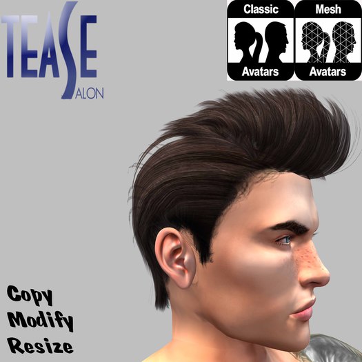 *TS* Armanni Hair Dark Brown