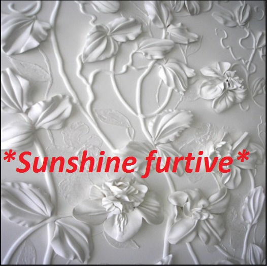 Decorative plaster