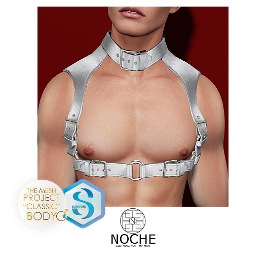 NOCHE. Alexx Chest Harness Silver