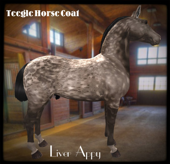 Teegle  Product_Liver Appy 