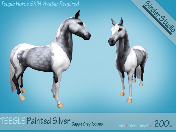 Teegle Skin Painted Silver