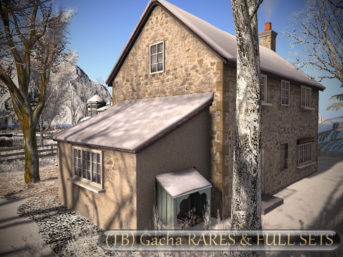 {what next} Winter's Cottage (boxed ) RARE