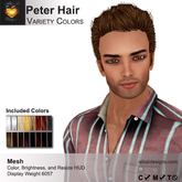 A&A Peter Hair Variety Colors Pack. Short casual mens mesh hairstyle