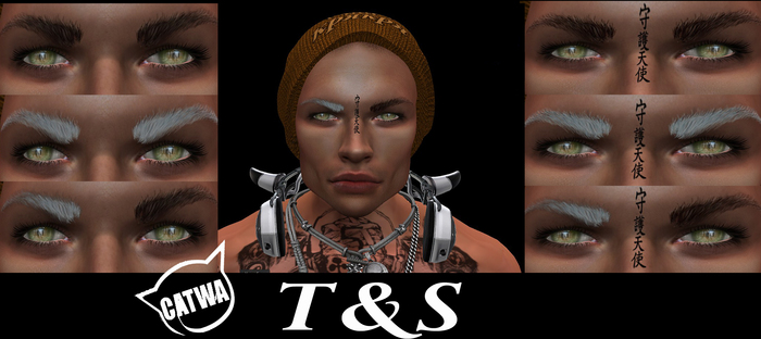 ~T&S~ CATWA brows male