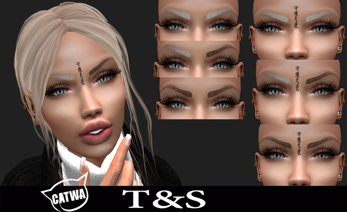 ~T&S~ CATWA brows Female