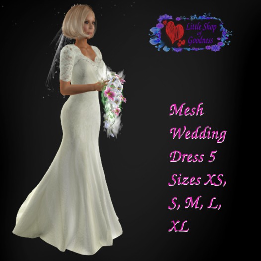 Wedding Dress Lace Top Chiffon Bottom Mesh DEMO