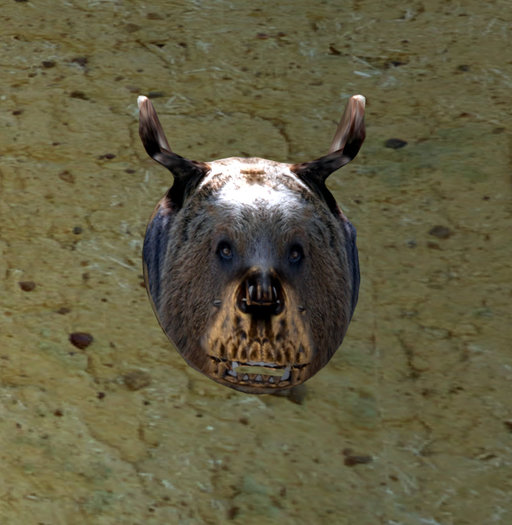 BEAR skull attach golden rope