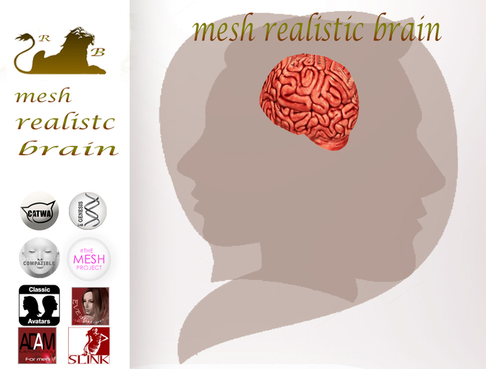 brain mesh realistic 