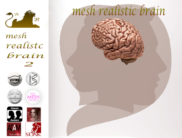 brain-2 mesh realistic