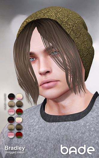 [bade] Bradley FADES