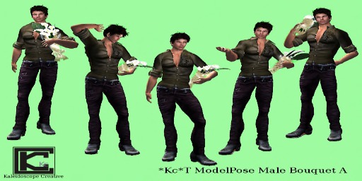 *Kc*T ModelPose Male BouquetA