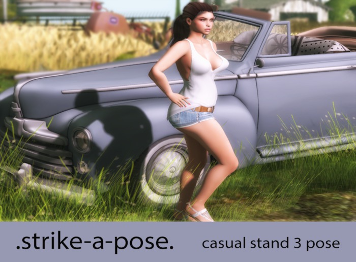 .strike-a-pose. Casual Stand 3