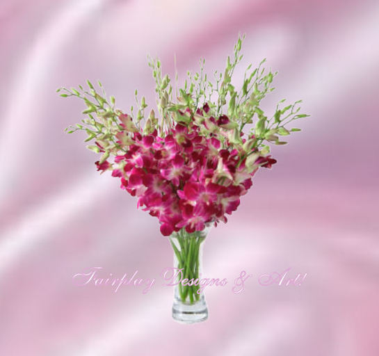Pink Orchids