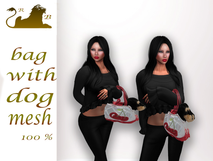 bag with dog