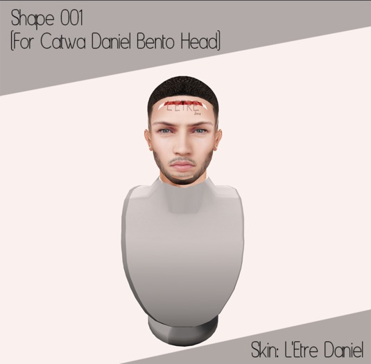 Shape 002 (Catwa Daniel Bento Head)