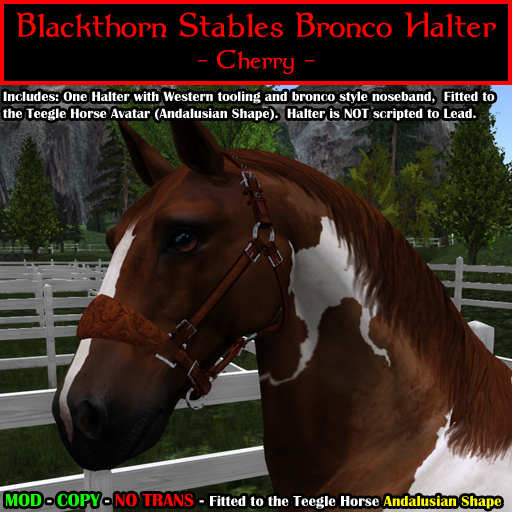 [BTS-TH-Andy] Bronco Halter - Cherry (boxed)