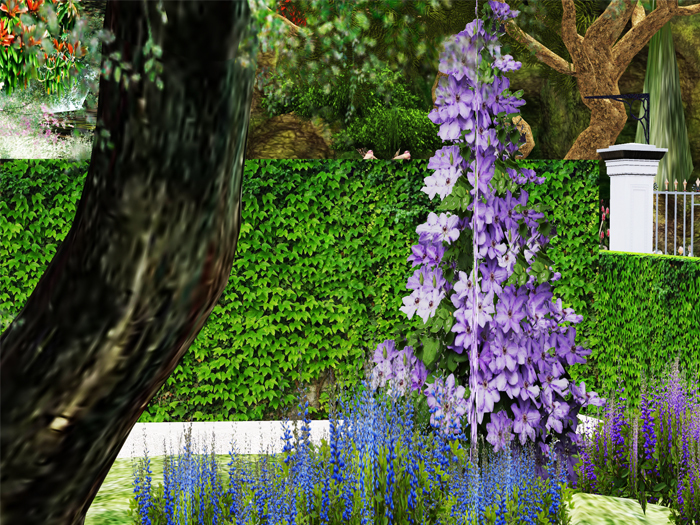 PHCr New Clematis
