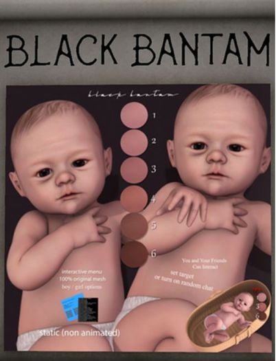 *[BLACK BANTAM] For Lali Infant Baby Boy Basket 6 RARE
