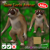 * Little Slow Loris Avatar *