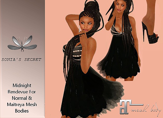 Black Cocktail Dress & Mod/copy Shoes - Dual body