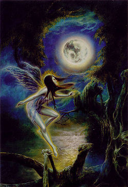 Moon Dance