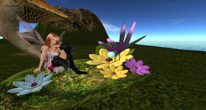 !AWW! The Dragonfly's Garden