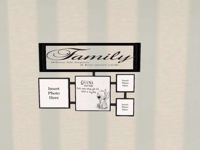 Ohana Frame-Mesh