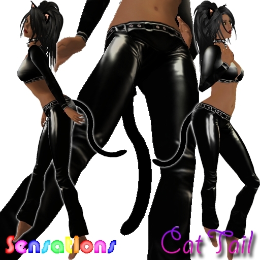 Sensations Cat Tail Box