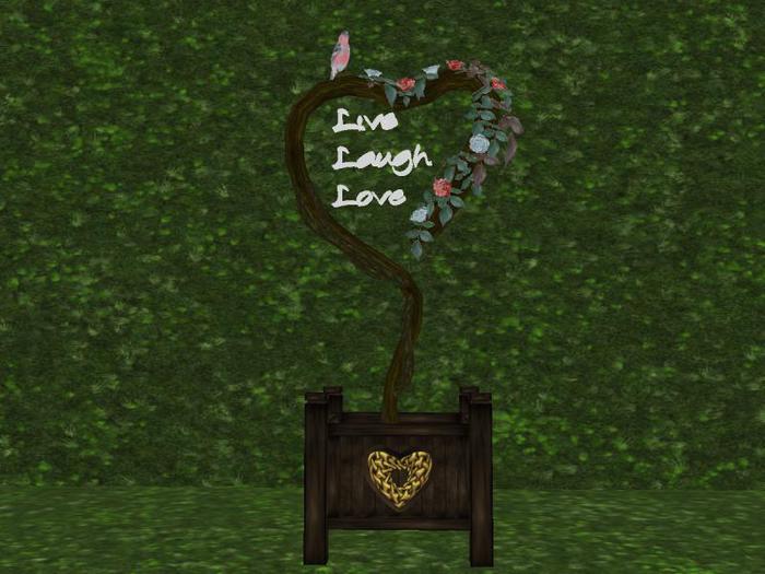 *Xtal* Hearts Desire Rose Bush 2