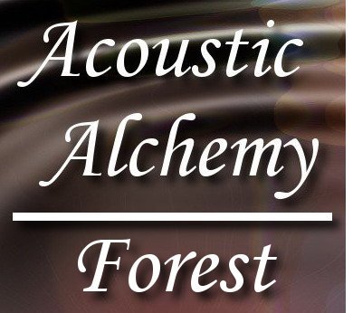 Atmo Sound Orb / Forest - Africa Day Birds Insects - 1:57
