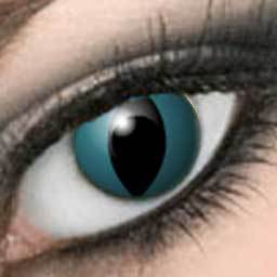 Jaguar Cats Eyes